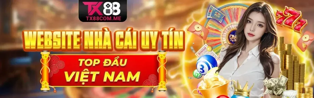 Hình ảnh nền chương trình đối tác VND555