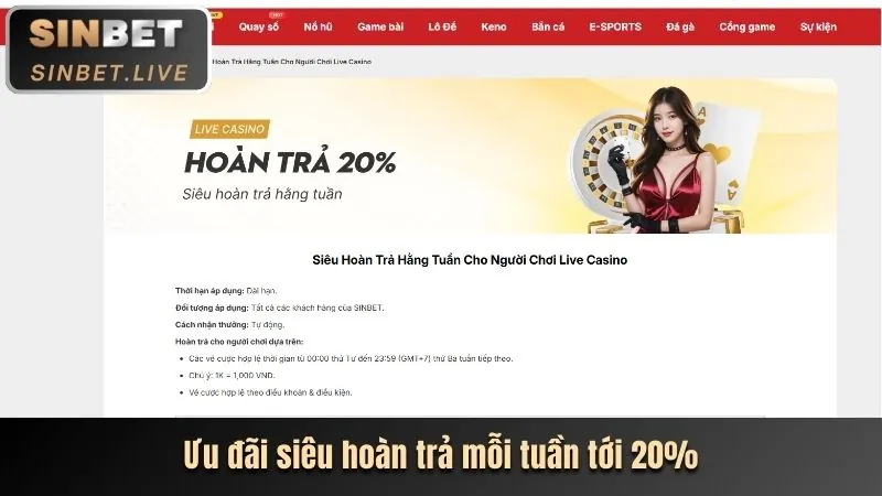 Cá cược thể thao trên VND555